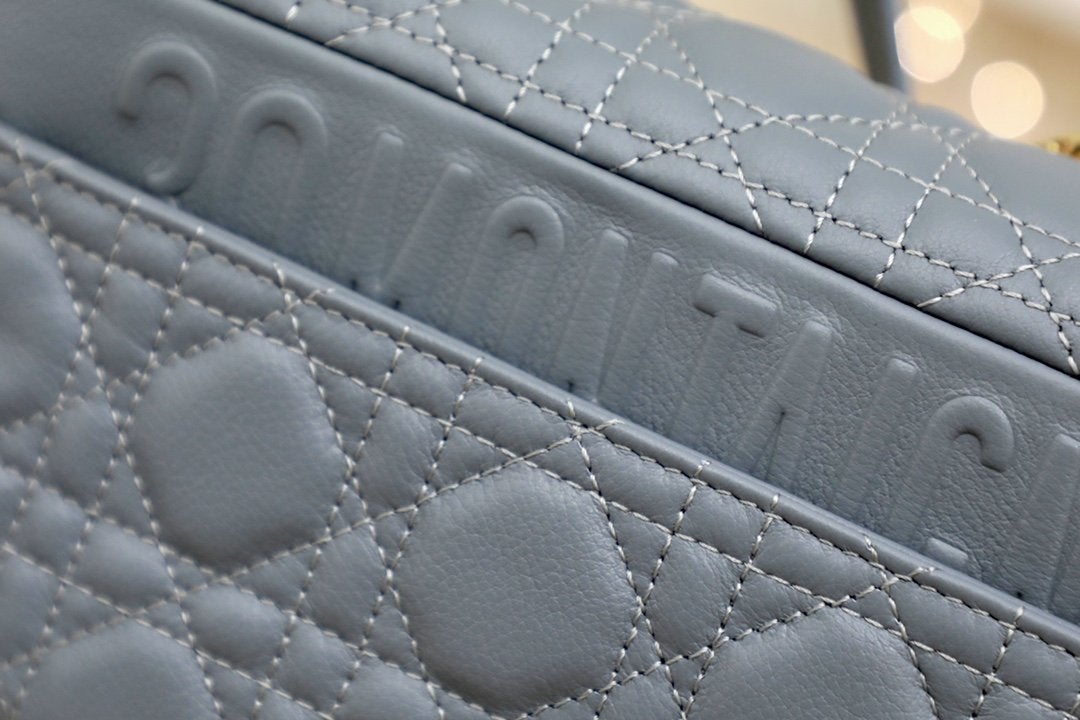 SMALL CARO BAG GRAY SUPPLE CANNAGE CALFSKIN