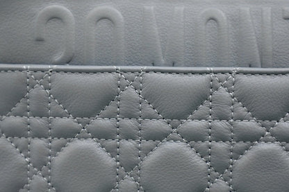 LARGE CARO BAG 28 GRAY SUPPLE CANNAGE CALFSKIN