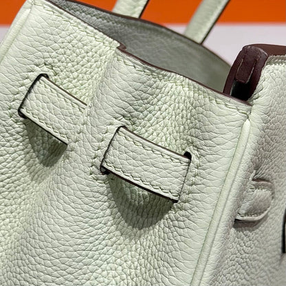 HERMES 25S MEDIUM BIRKIN 25 IN LIGHT MINT GREEN CALFSKIN SILVER HARDWARE