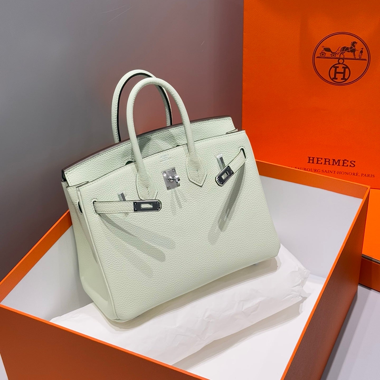 HERMES 25S MEDIUM BIRKIN 25 IN LIGHT MINT GREEN CALFSKIN SILVER HARDWARE